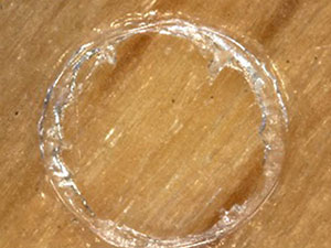 BURCKHARDT / İsviçre